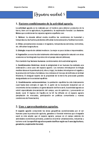 Resumen-UD8.pdf
