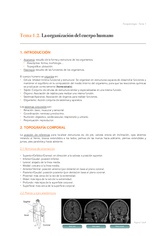 Tema-1.pdf