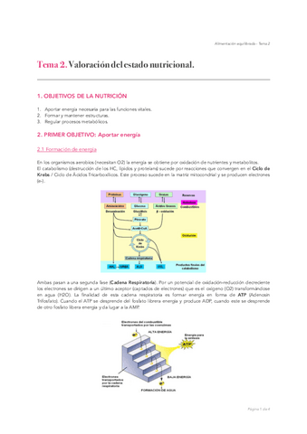 Tema-2.pdf