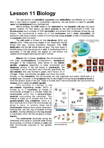 Lesson-11-Biology.pdf