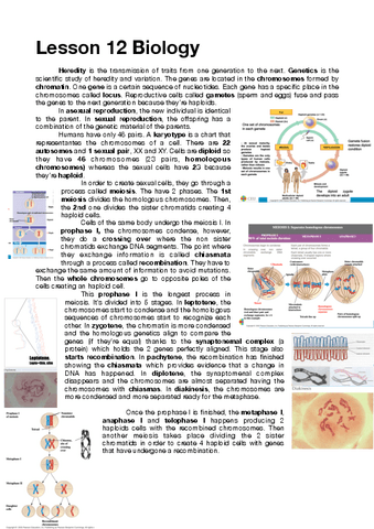 Lesson-12-Biology.pdf
