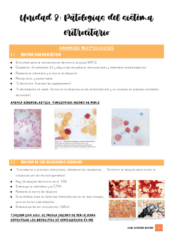 Unidad-8-Patologias-sistema-eritrocitario.pdf