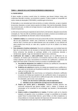 TEMA 4 - ANALISIS DE LA ACTIVIDAD ECONOMICA II (OK).pdf