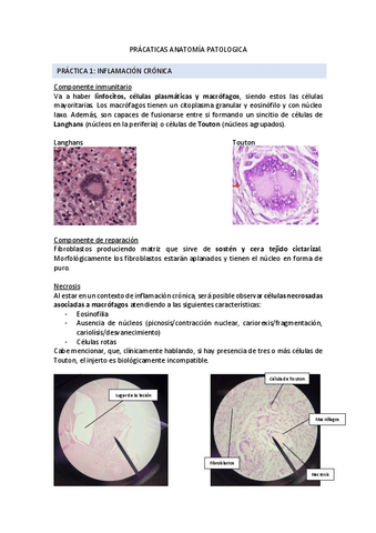 EXAMEN PRÁCTICAS ANATOMÍA PATOLÓGICA