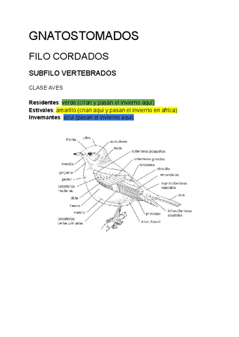 Zoologia-identeficacion-Aves-.pdf