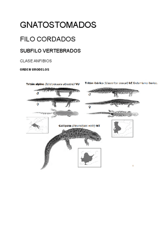 Zoologia-Identificacion-Reptiles-y-Anfibios.pdf