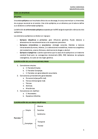 TEMA-10-epilepsia.pdf