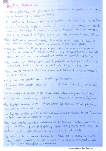 Preguntas V-F de Prácticas.pdf