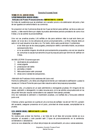 TEMA-17-Derecho-procesal-Penal.pdf