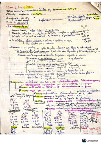 Glucidos.pdf