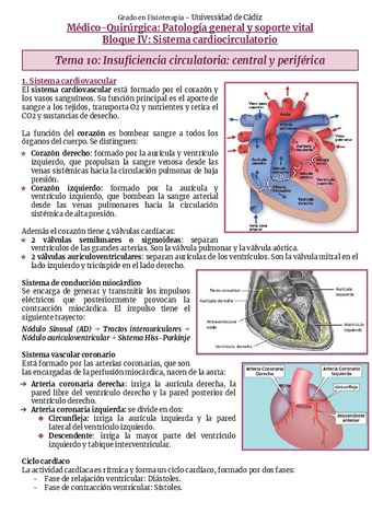 Bloque-IV-Sistema-cardiocirculatorio