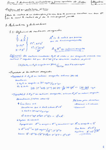 Algebra-y-Geometria-Tema-3-Autovalores-autovectores-y-Jordan.pdf