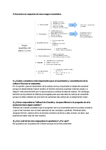 Actividad-4.pdf