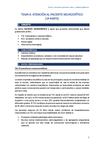 TEMA-9-Critico-pasado.pdf