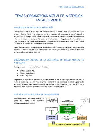 TEMA-3-Organizacion-actual-de-la-atencion-en-salud-mental-PASADO.pdf
