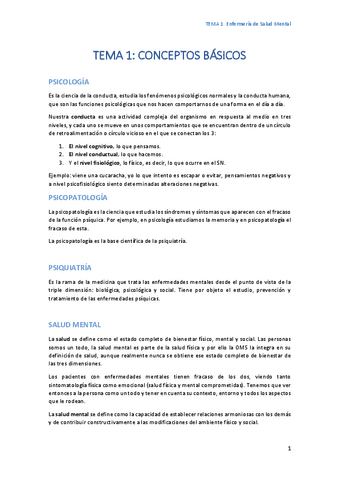 TEMA-1-Conceptos-basicos-PASADO.pdf