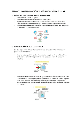 Apuntes-T7-senalizacion-celular.pdf