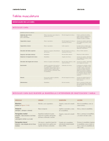 Tablas-musculatura.pdf