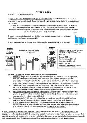 TEMA-1-resumen.pdf