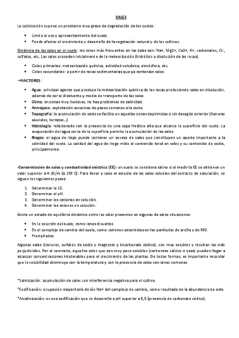 Resumen-Tema-4.4 - Sales.pdf