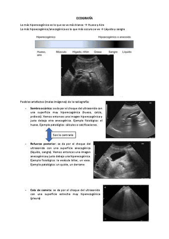 ecografia.pdf