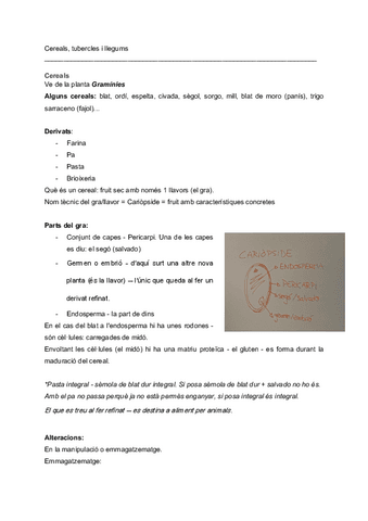Unitat-2.pdf