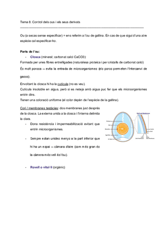 Tema-8.pdf