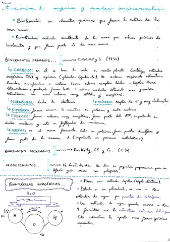 Tema-1-Agua-y-sales-minerales.pdf