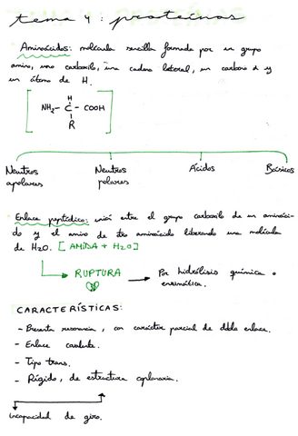 conceptos-clave-tema-4.pdf
