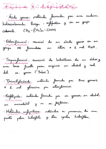 conceptosclave-tema3.pdf