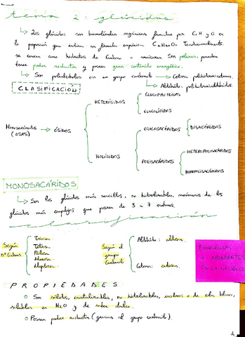 Tema-2-Glucidos.pdf