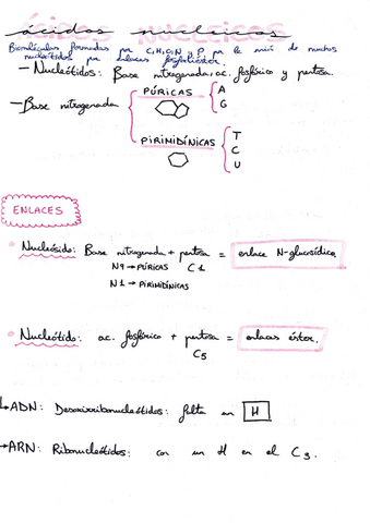 conceptos-clave-tema-5.pdf