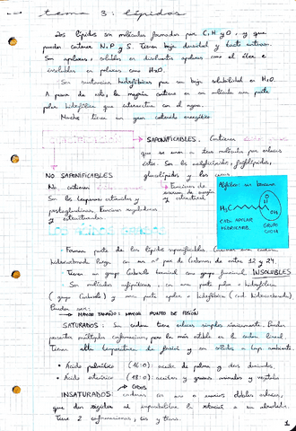 Tema-3-Lipidos.pdf