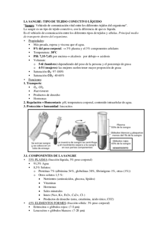 FISIOLOGIA DE LA SANGRE.pdf