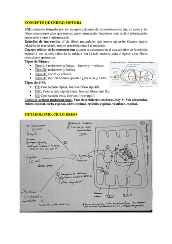 ELIMINATORIAS-2o-PARCIAL-CORREGIDAS.pdf