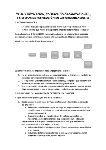 TEMA-3-pot.pdf
