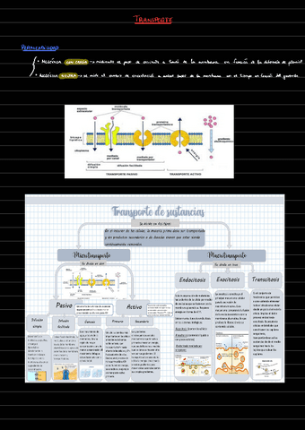 Transporte-general-221210174027.pdf