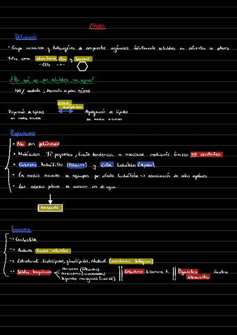 Lipidos.pdf