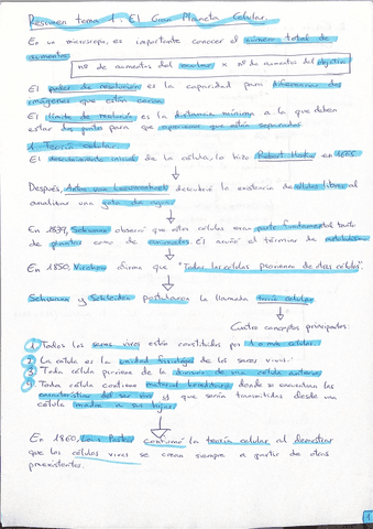 Tema-1-el-gran-planeta-celular.pdf