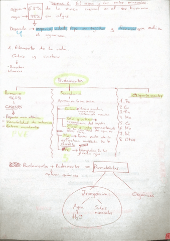 Tema-2-el-agua-y-las-sales-minerales.pdf