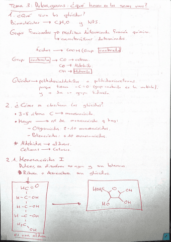 Tema-3-dulcesgrasas.pdf