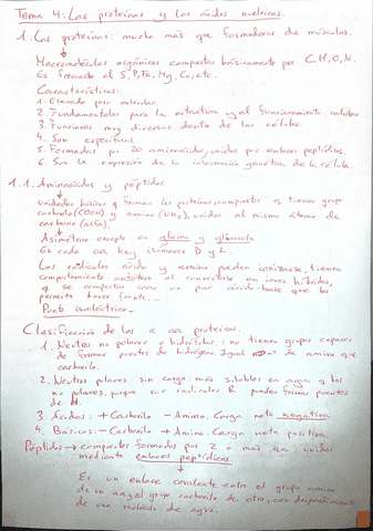 Tema-4-las-proteinas-y-los-acidos-nucleicos.pdf
