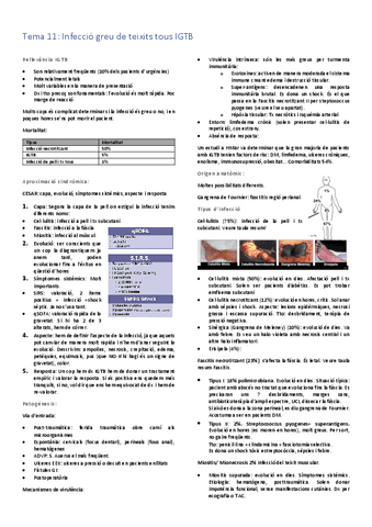 Tema-11.pdf