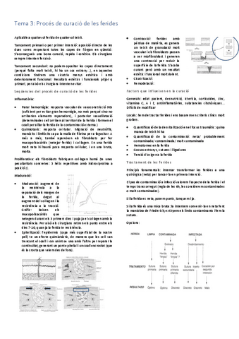 Tema-3.pdf