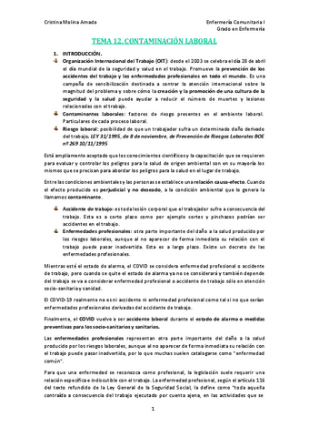 TEMA-12.pdf