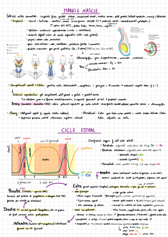 REPRO.pdf