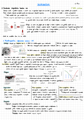 Lilpau-Sani-II-REMUGANTS-.pdf