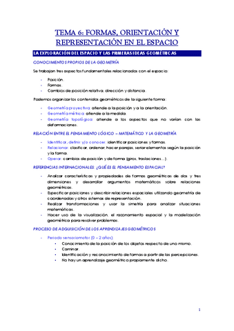 Apuntes-Tema-6-Pensamiento-Matematico.pdf