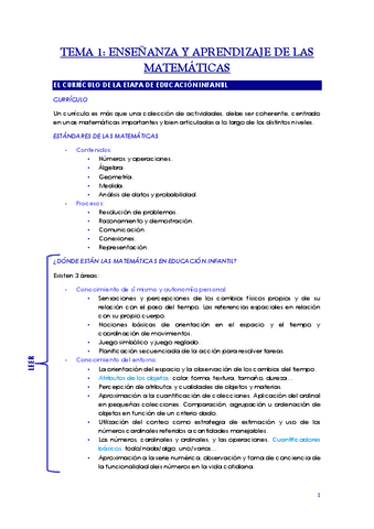 Apuntes-Tema-1-Pensamiento-Matematico.pdf