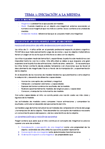 Apuntes-Tema-5-Pensamiento-Matematico.pdf